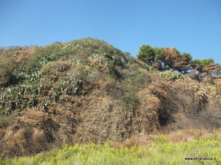 i Castello mega pillow-07-10-2012 08-25-38